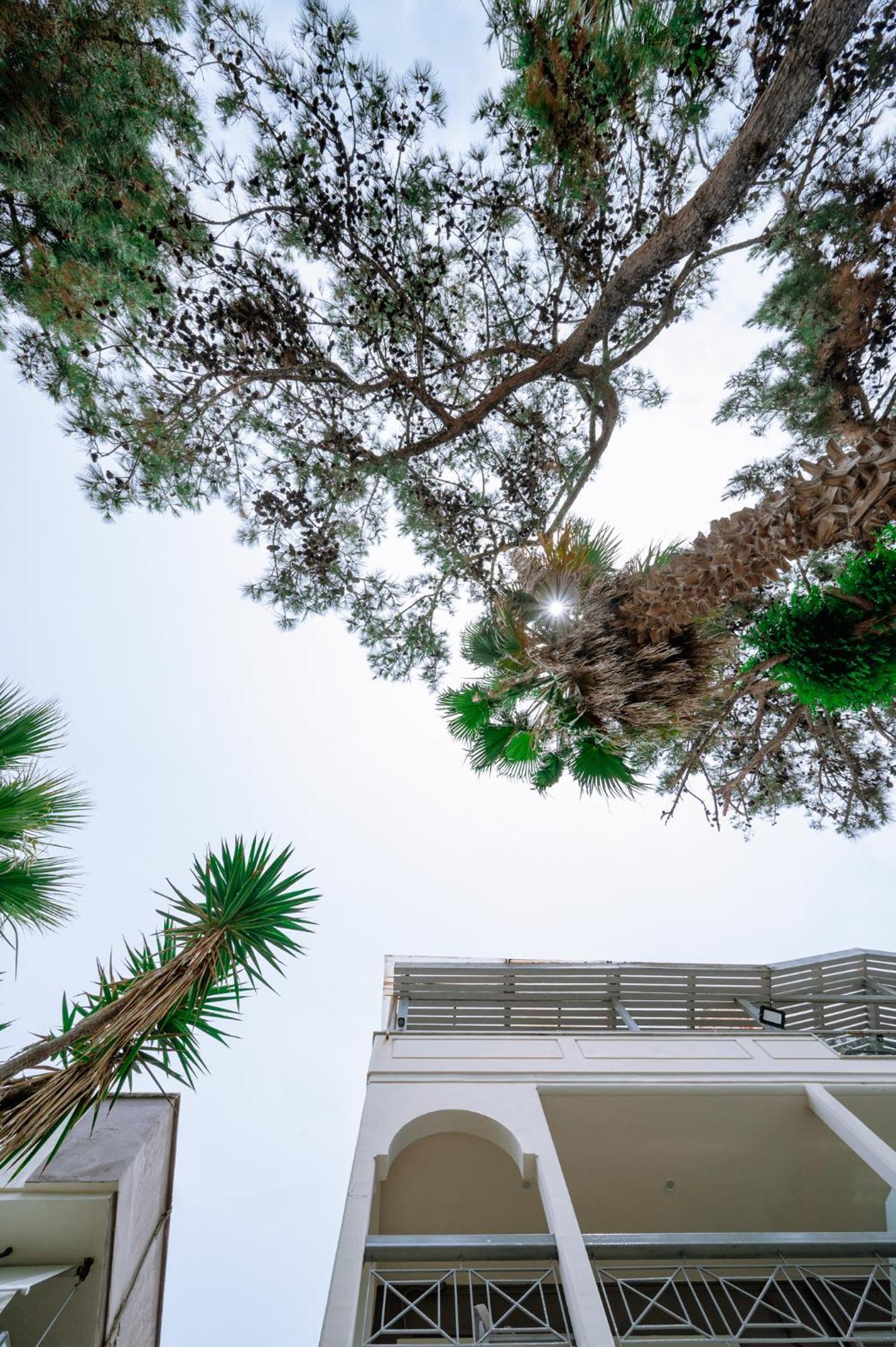 Ktima Papaoikonomou Apartment Potos Bagian luar foto
